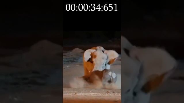 Пишите завещание!