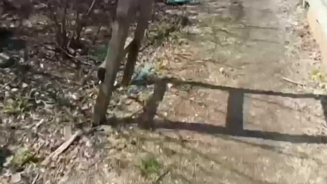 Я играю в прятки с друзьями