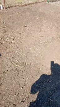 Подготовил площадку под посев!!!