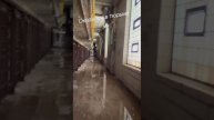 Попал в тюрьму в Америке
