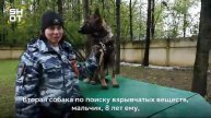 Московские служебные собаки по горячим следам помогли найти грабителей и похищенные восемь миллио...