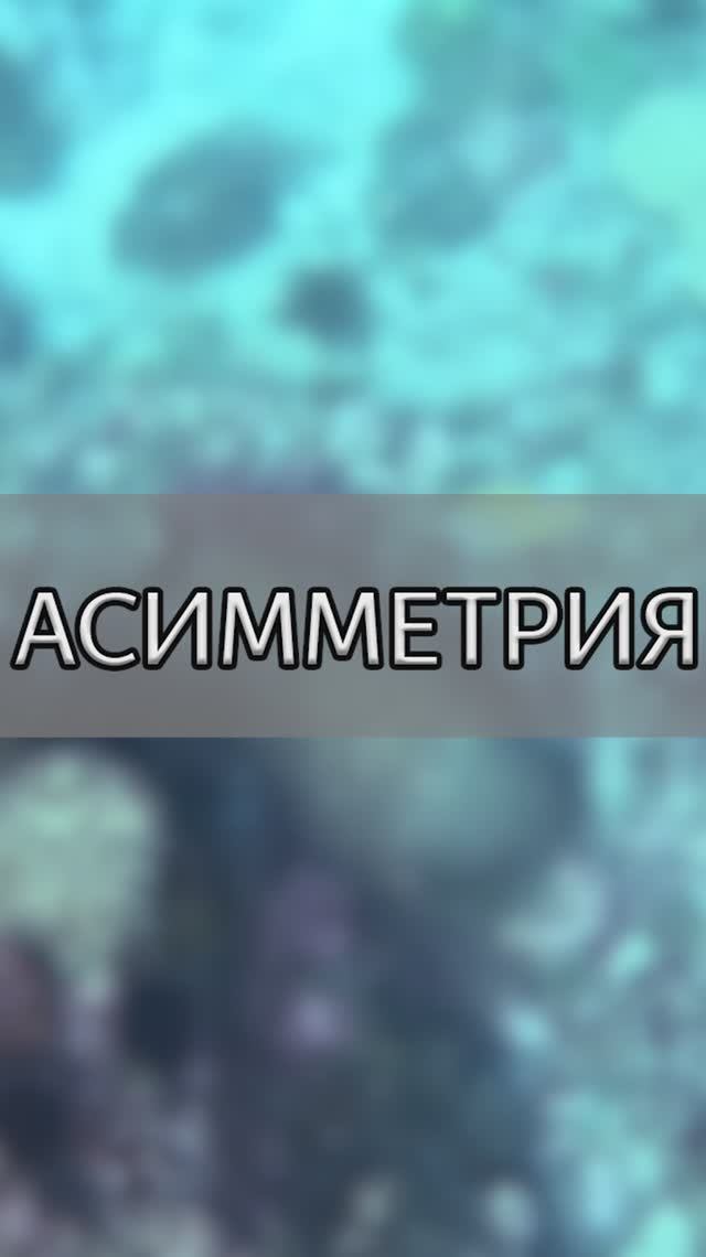 Где в слове правильно ставить ударение?
