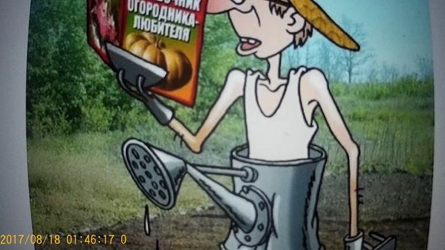 рЫма чек - иди работай ЗДОРОВА ...МОГЁШЬ