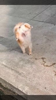 Мое первое видео)