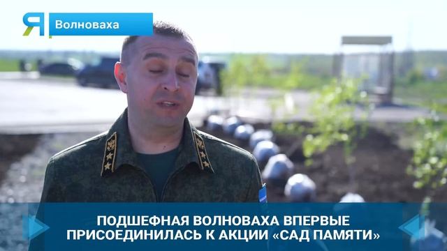 В Волновахе в рамках Всероссийской акции «Сад памяти» высадили порядка 40 деревьев