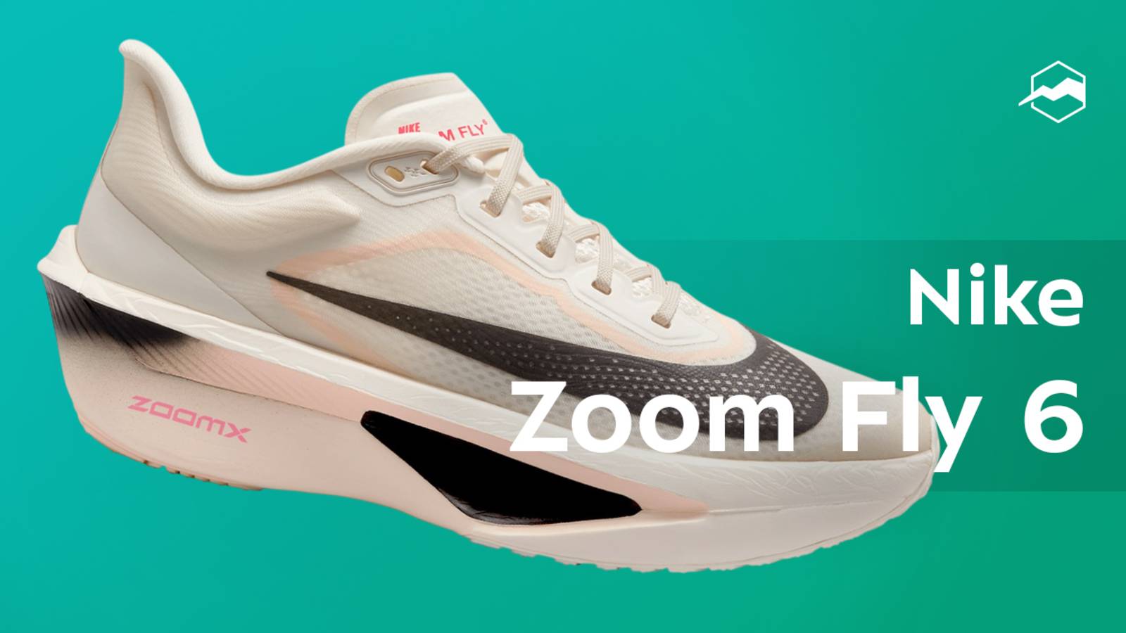 Кроссовки Nike Zoom Fly 6