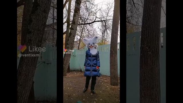 фурри, рапторы, скул доги из лайка (3 минуты и 52 секунды)