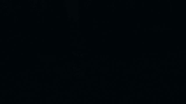 1000074409.mp4