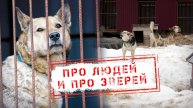 НОВОСТИ КАМЧАТКИ: ПРО ЛЮДЕЙ И ПРО ЗВЕРЕЙ
