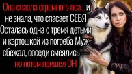 Истории из жизни. "Он просто хотела спасти собаку". Аудио рассказы