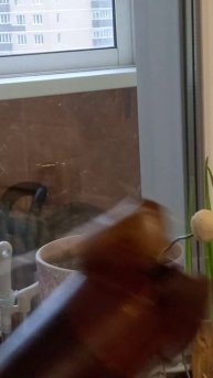 Приспособление для сбора вишни своими руками.Лайфхак