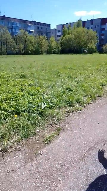 Вероника кидает капибару на поле и ищет её на время