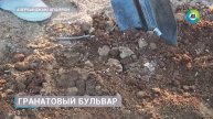 Гранатовый бульвар появился в Азербайджане – деревья