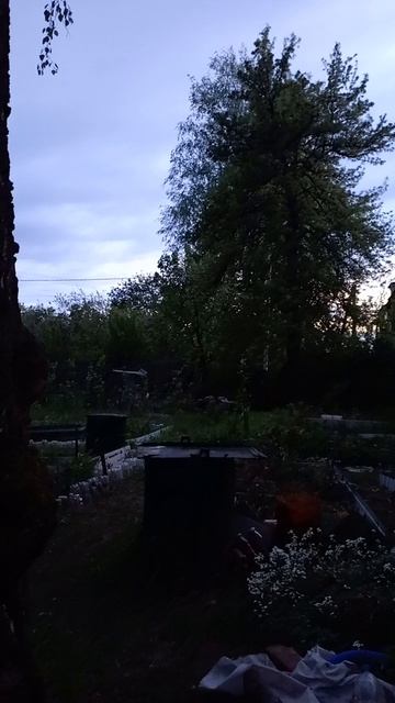 Брянские соловьи 5.05.25