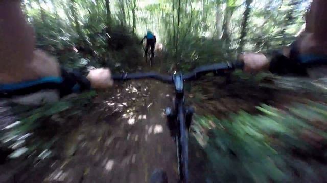 Спуск з гори Парашка / Freeride /