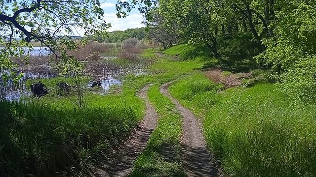 VID_20250503_144259.mp4