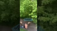 добровольная мобилизация Львов 05.25