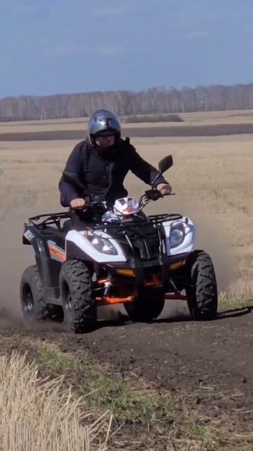 тест kayo au300