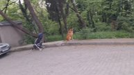 Помогаю дочери /// пицца 🍕 наночь/// крымская жизнь