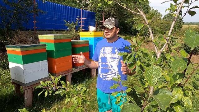 Шок! Продав мед по 64 грн  Маковея #цінанамед