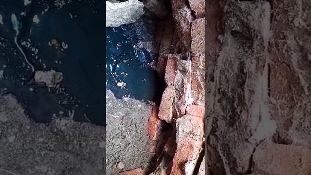 Смотрим, что в трубе
