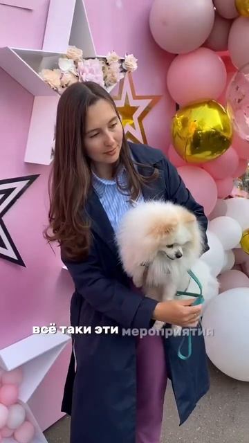 Собачья туса в стиле Барби #бонди #шпицалогия #собака #пушистыйдруг #померанец #шпиц
