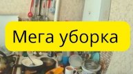 Готовимся к приезду хозяина, уборка и готовка