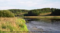 Эта музыка раскроет природу так, как никто не делал - I Think I Thought I Felt -- The Hipshakes -- L