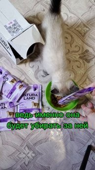 #273740059 #кормдлякошек #влажныйкорм #длякошек #распаковка #обзор #котики #кот #жиза #naturaland