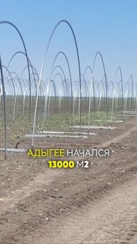 Новый объект в Адыгее. 24 теплицы по 550 м2 #теплица #монта