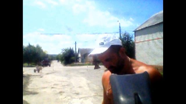 Борода