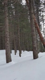черпаю силы, чтоб сеять ДОБРОЕ и ВЕЧНОЕ