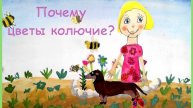 Почему цветы колючие?