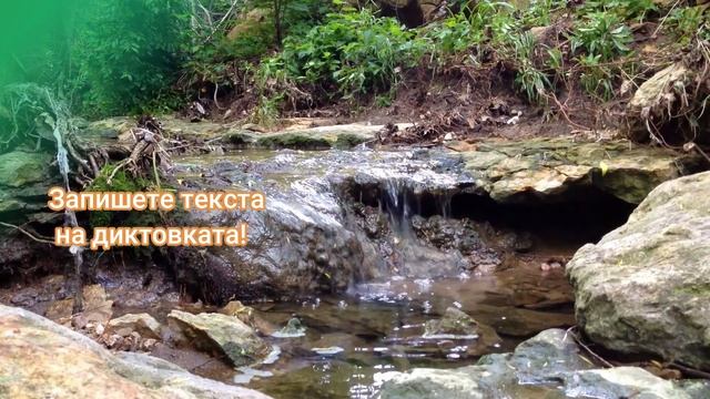 Диктовка -  Ането по Ангел Каралийчев