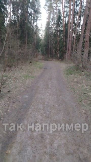 Связь фэн-шуй и эфирных масел