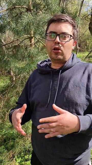 Искусство из отходов: твой мусор может вдохновлять других 🎨♻️