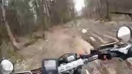 Катаюсь в карсивом лесу 2