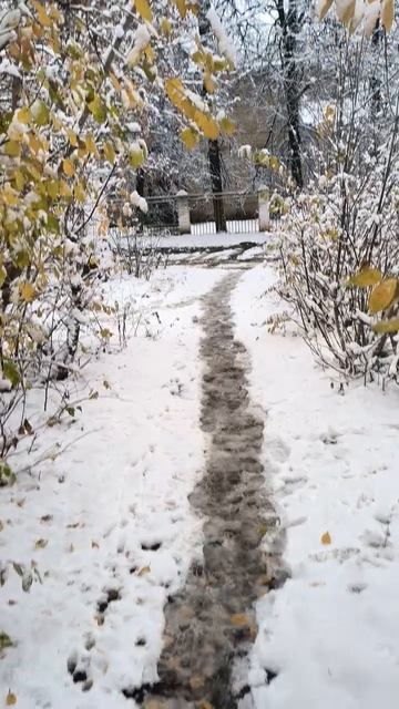 Между осенью и зимой