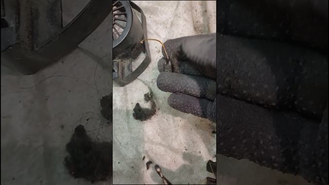 на обслуживании вакуумно роликовый аппарат типа Be Flaxy