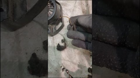 на обслуживании вакуумно роликовый аппарат типа Be Flaxy