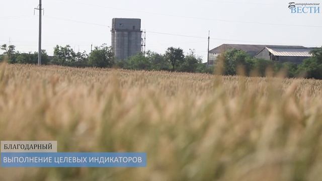Выполнение целевых индикаторов в Благодарненском районе