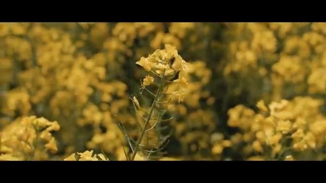 Твоя Милость | Марин и Марина Севастиян (Official Video) | Христианские Песни