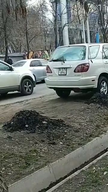 11.03.2019 Алматы Манаса/Абая стоянка на газоне