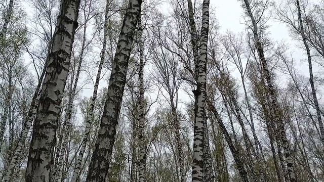 Весна😄