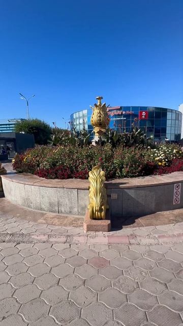 Теперь вместо фонтана ⛲️на Абзале🏫вот такая клумба