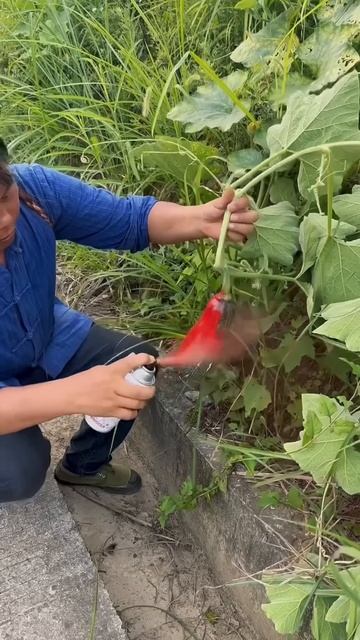 An easy way to change the color of fruit #shorts