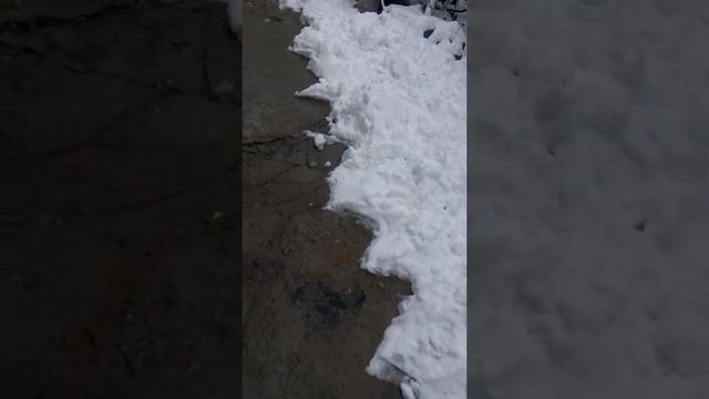 Эх, снег снежок! Огород в снегу.