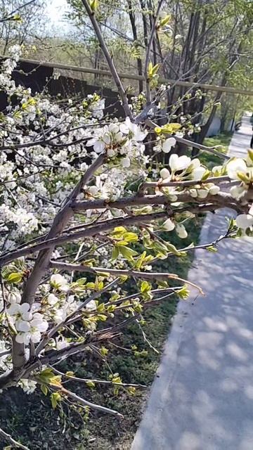 Красота 😍💓