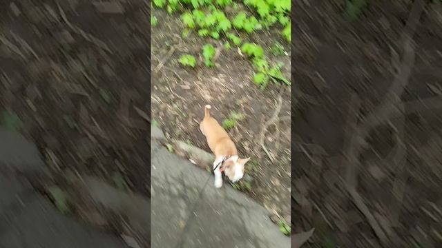 Сеня везде свой нос сует😁