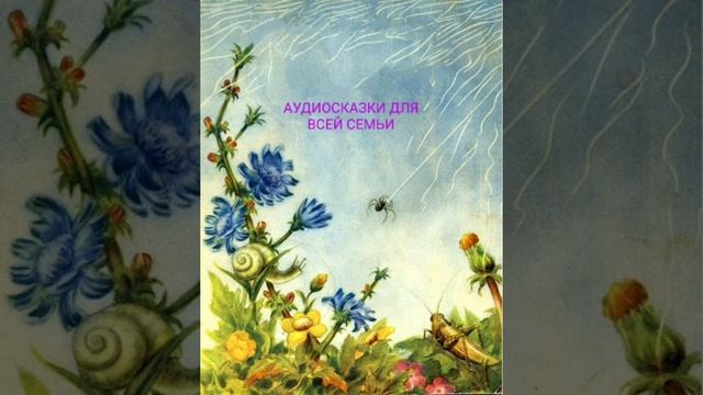 ПАУЧОК ПИЛОТ